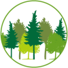 Sustainable Forestry graphic