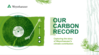 Image of the Carbon Record logo, with features a cross-cut log on a record player. The rings on the log represent the grooves on the record.