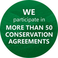 Graphic with white text on a green background that says We participate in more than 50 conservation agreements.