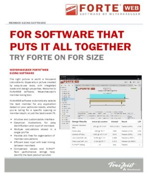 Product Overview: Forte Sizing Software