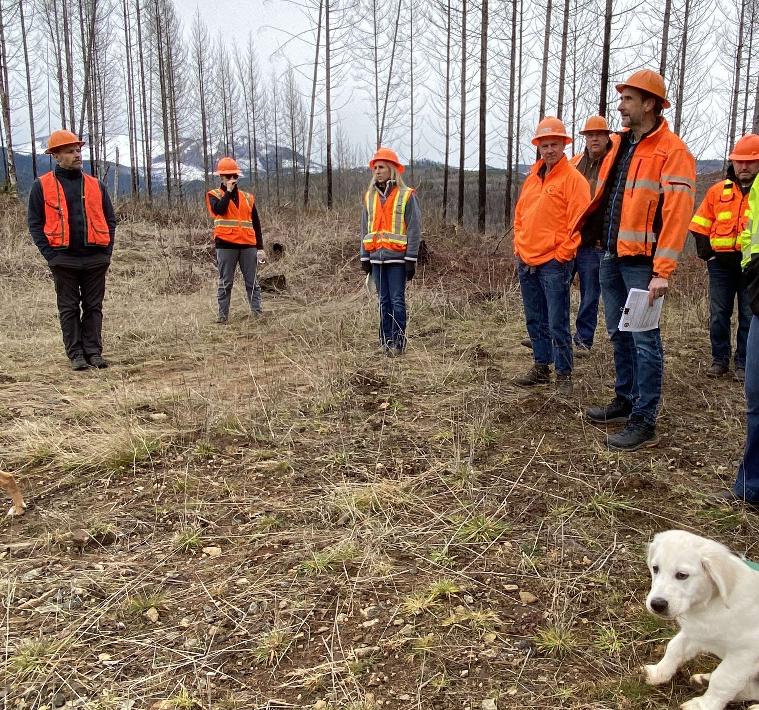 Image of Brad working with Oregon foresters in his role as Sotuh Oregon EMS lead.