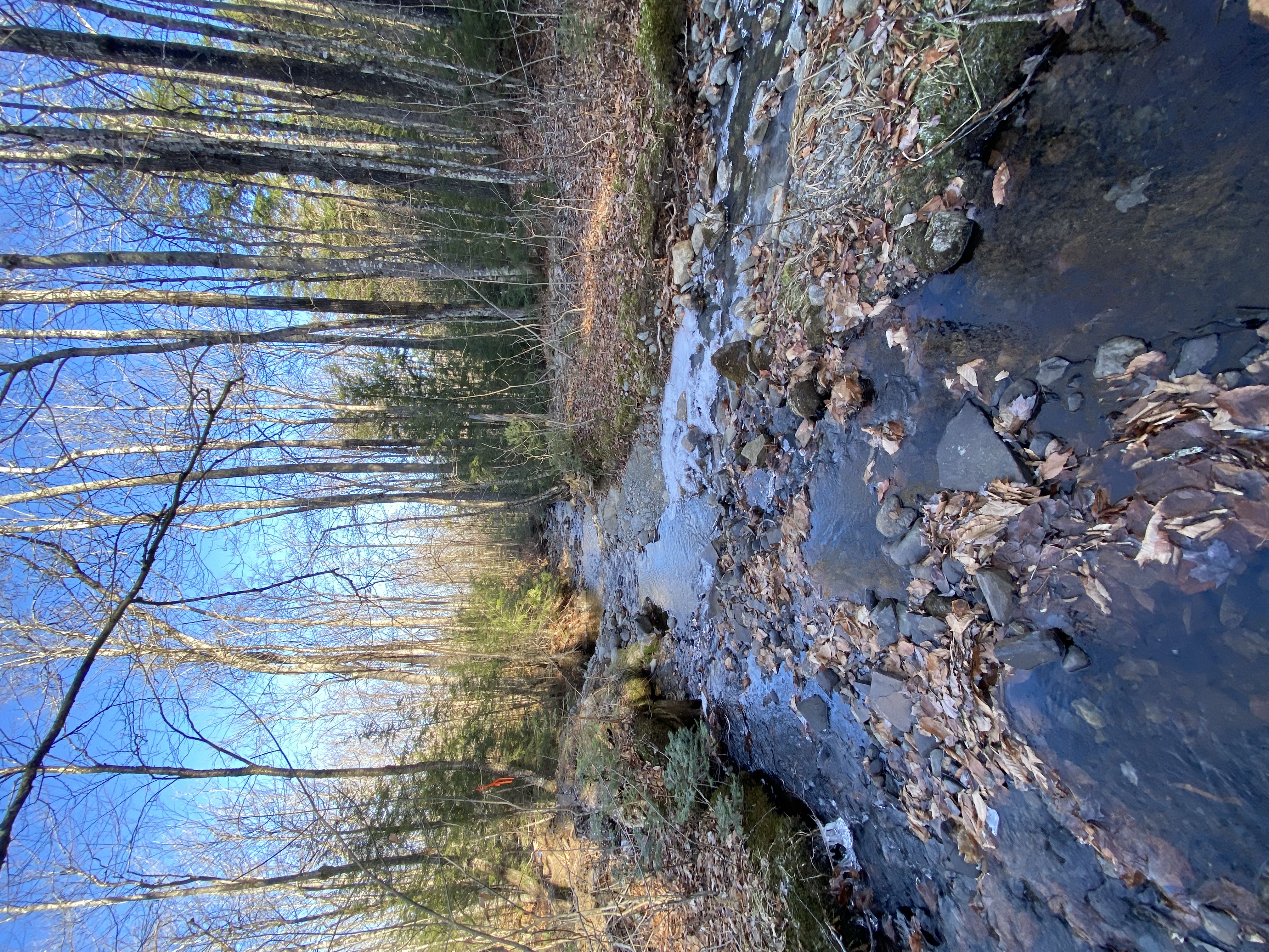 An image of the same spot with the dam removed.