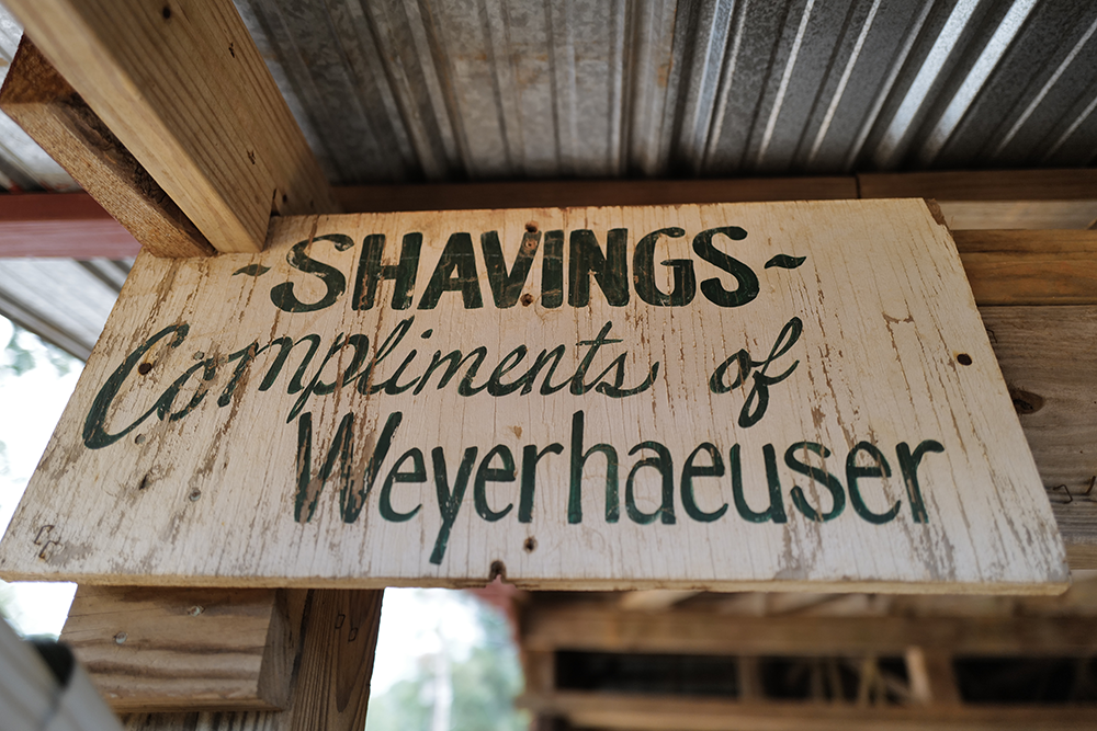 Image of a sign that says "Shavings Compliments of Weyerhaeuser," which donated wood shavings and sawdust for the Neshoba County Fair.