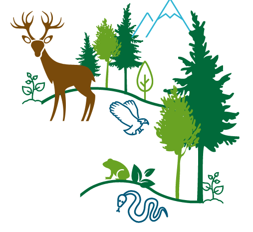 HowWeDoIt_WildlifeHabitat.png