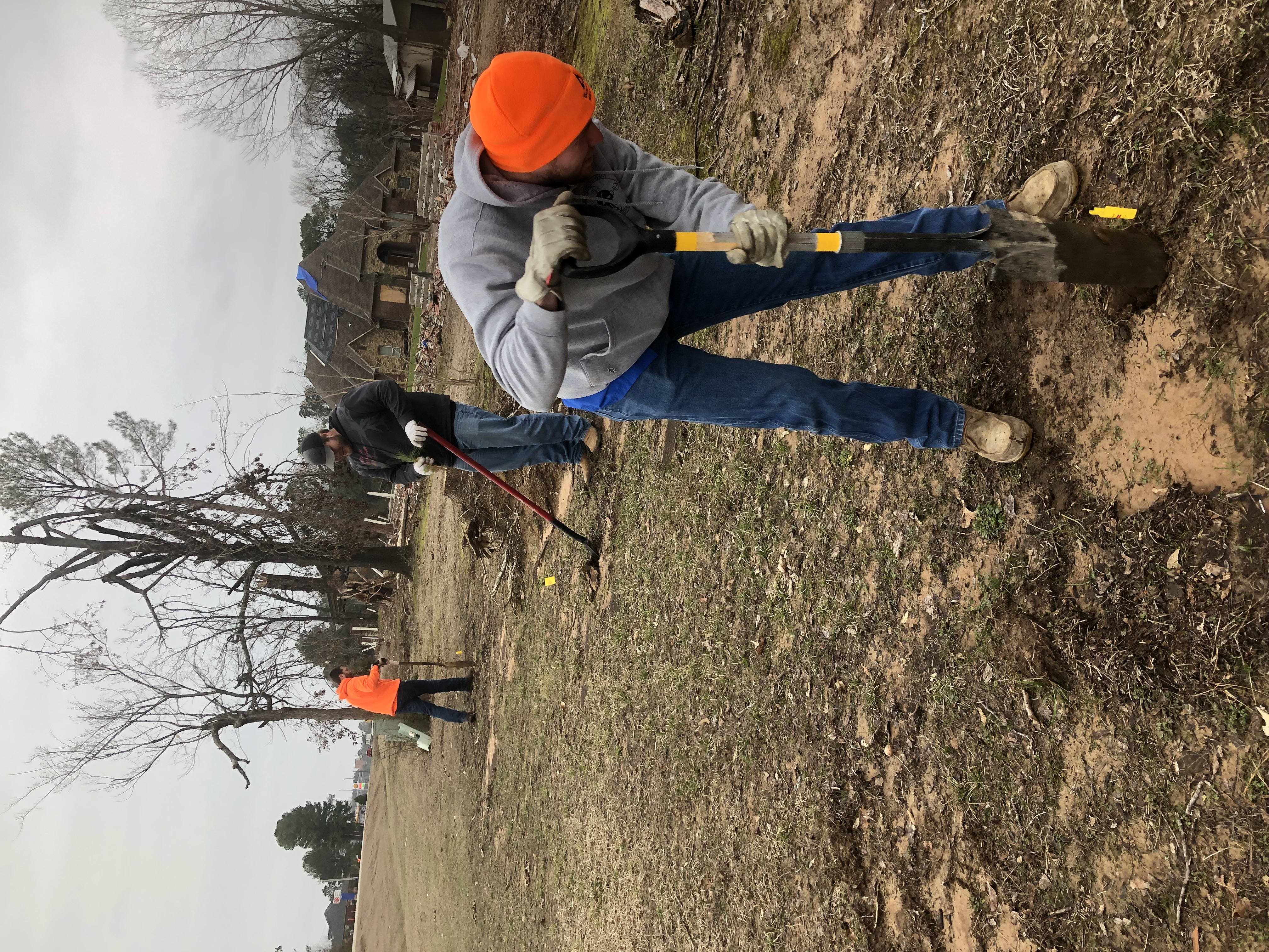 Image of Ryan Craw, Weston Murphy, Steven Wagner planting loblolly pine.