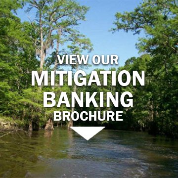 mitigation-banking-square-image-center.png
