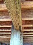 Beam-Photo--112x150 (1).jpg