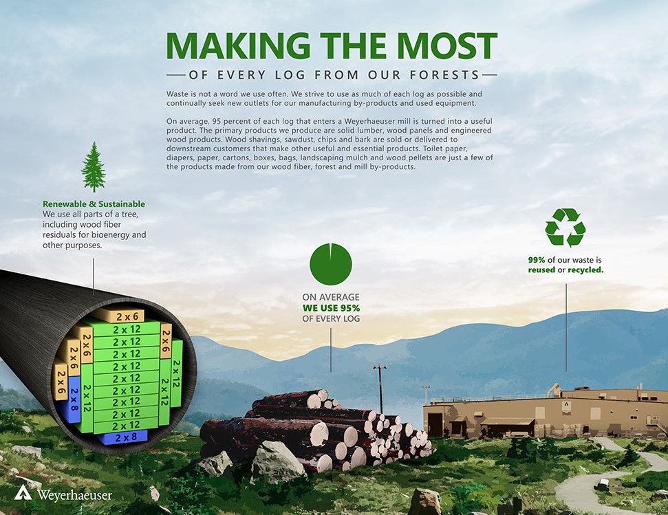 Image of one of the signs on the Crown Z Trail, which shows how we make the most of every log from our forests.