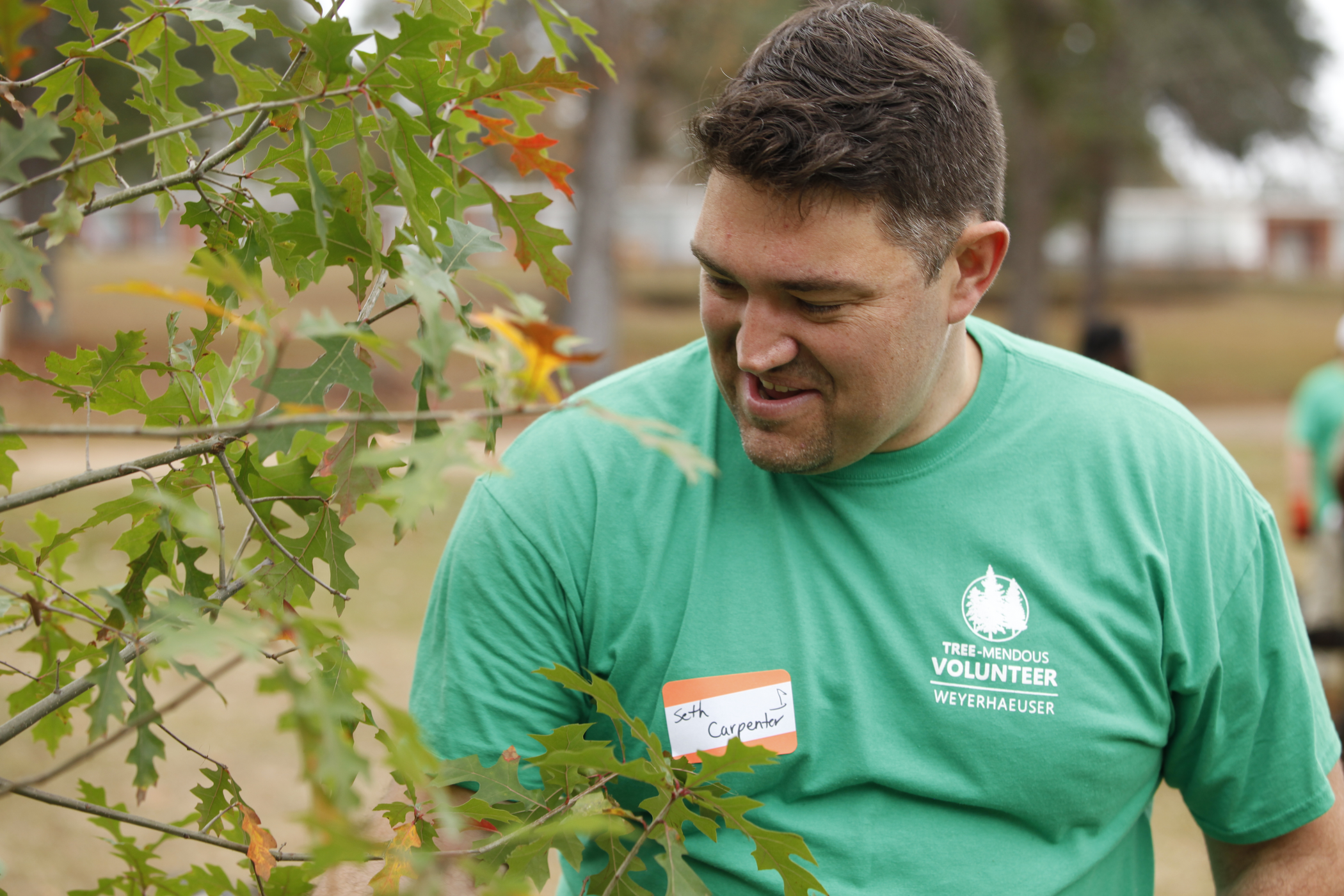 Image of Timberlands area manager Seth Carpenter admiring a newly planted oak tree in Ruston's Duncan Park.