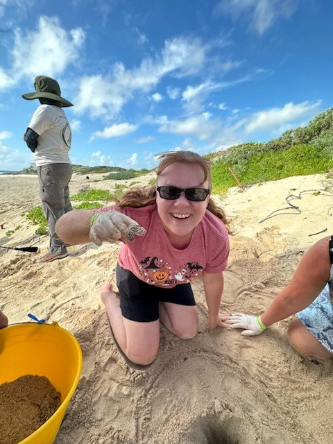 Image of Dionna rescuing a baby turtle in Mexico last fall.