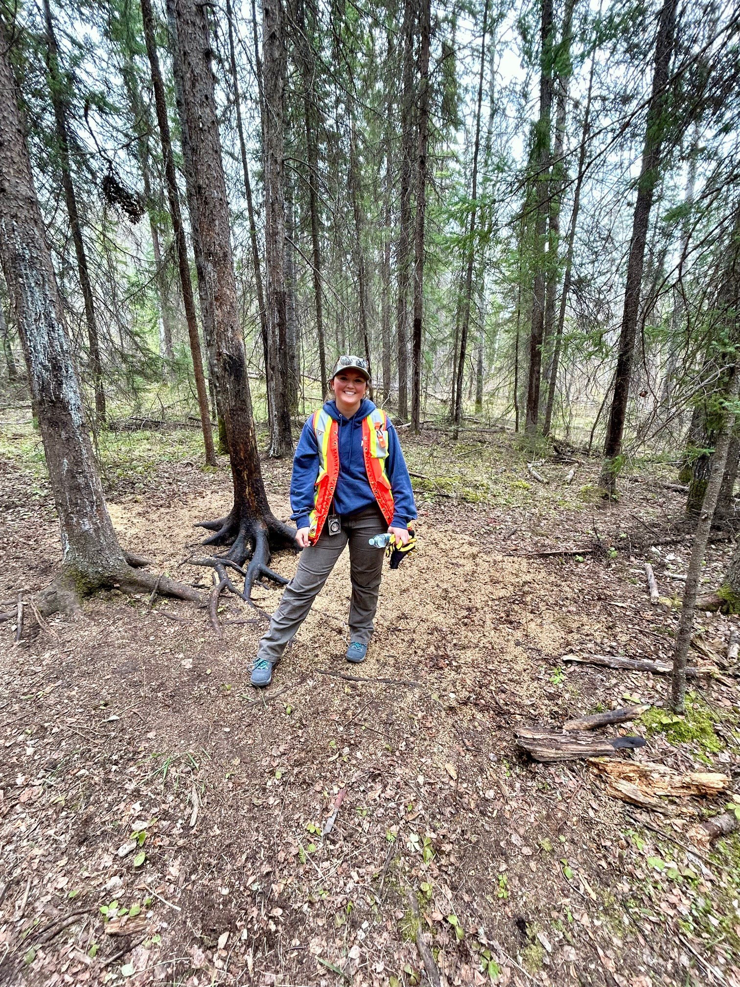 Image of logan standing within a group of trees, wearing an orange safety vest over a blue hoodie.