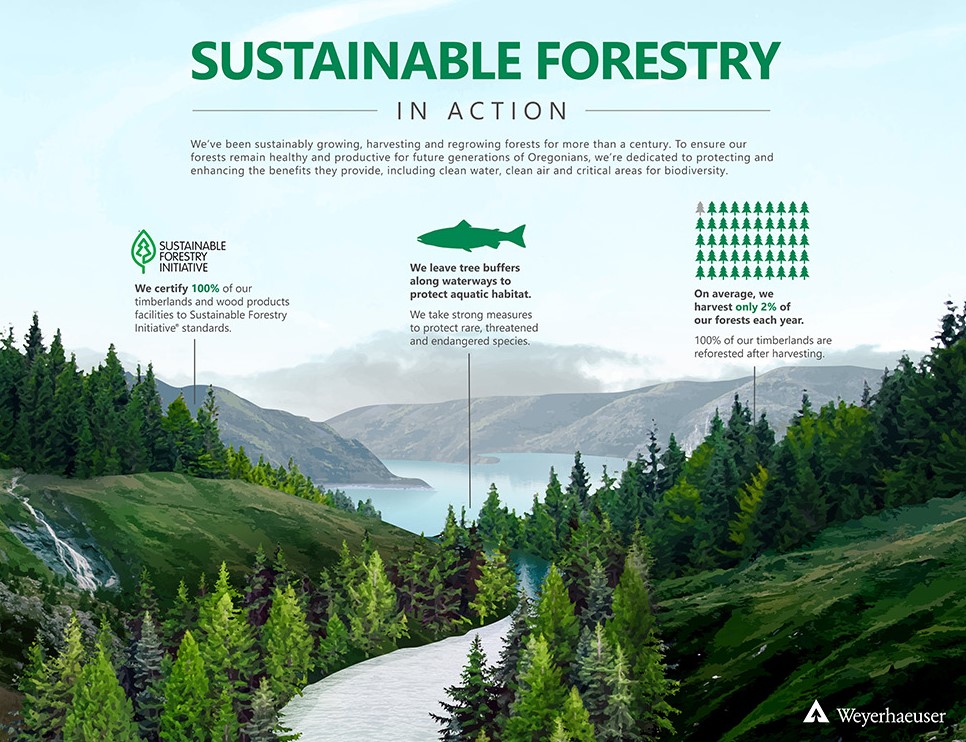 Image of a sing on the Crown Z Trail that shows sustainable forstry in action.