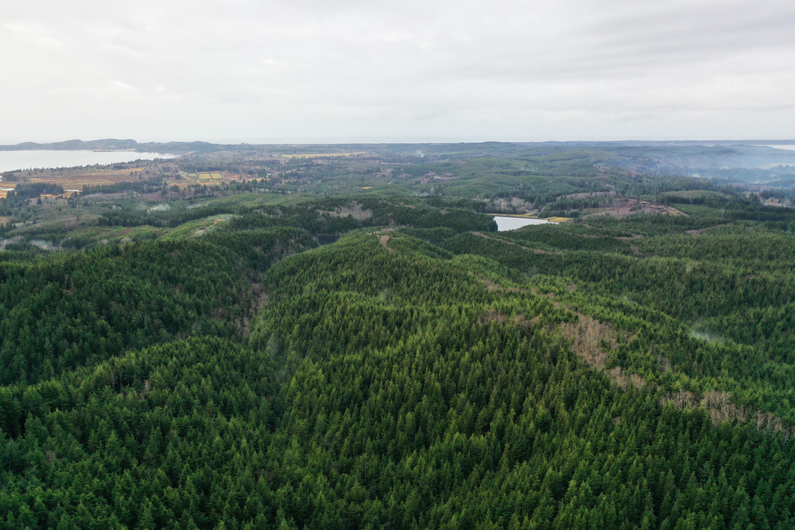 Looking out across the new community forest, with the reservoir in the center, Baker Bay and the city of Ilwaco in the upper left, the Pacific Ocean along the top, and the southernmost point of Willapa Bay at the top right.