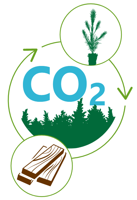 HowWeDoIt_ForestCarbon.png
