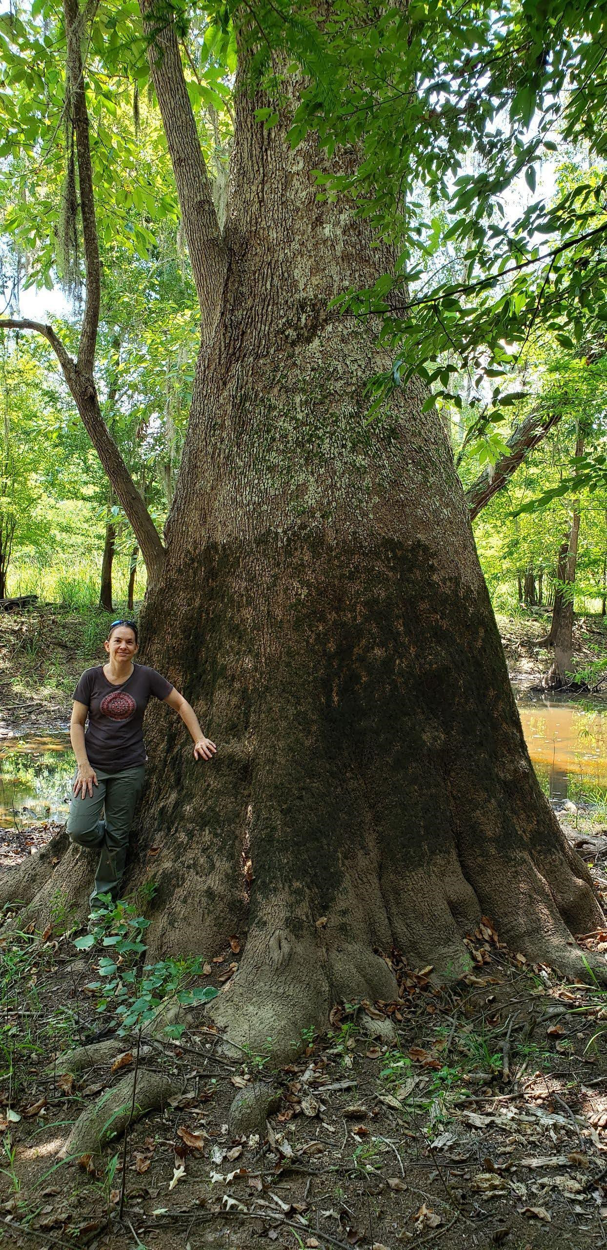 Image of Zaina standing next to a massive tree near Savannah, Georgia