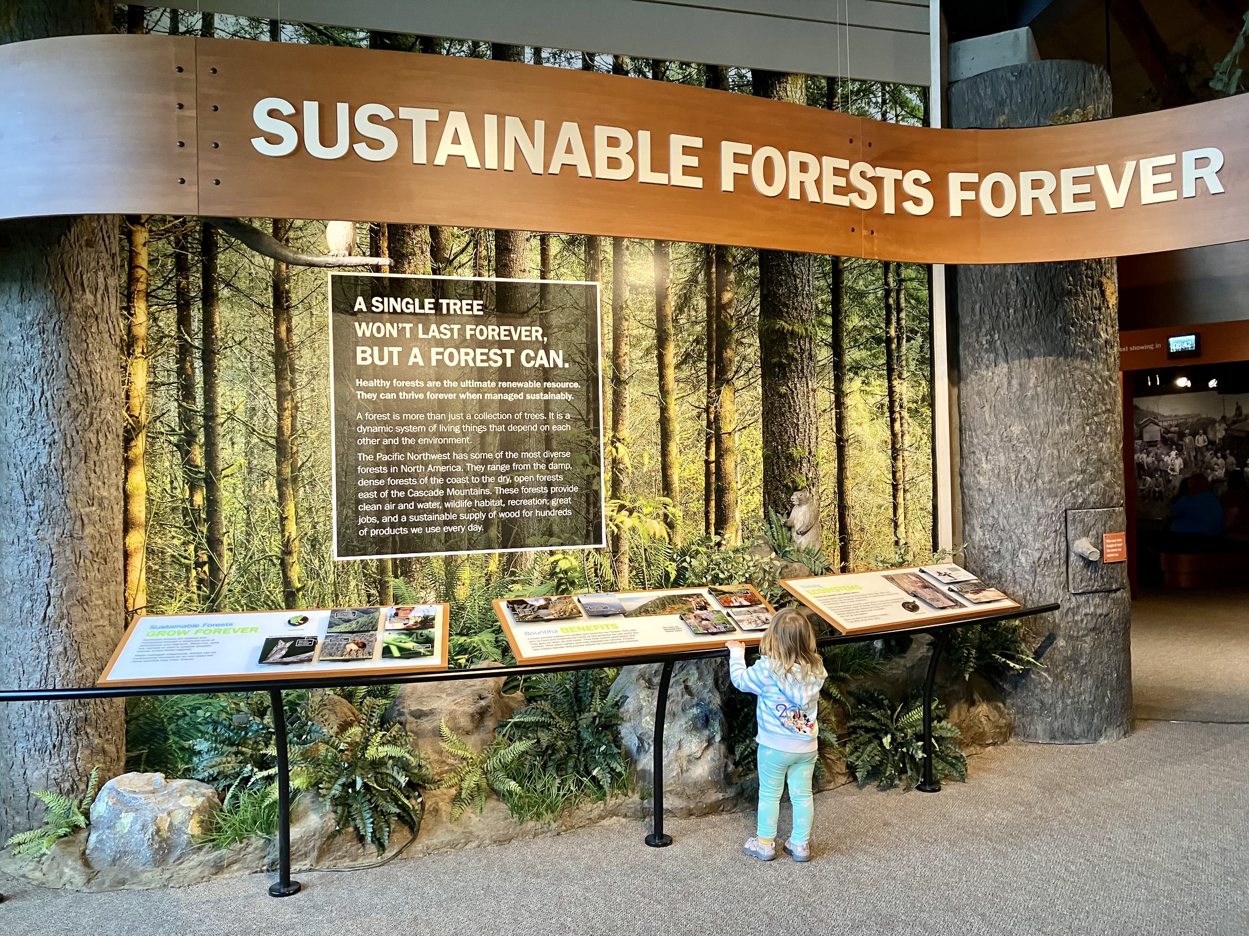 Exhibits for all ages inside the FLC.