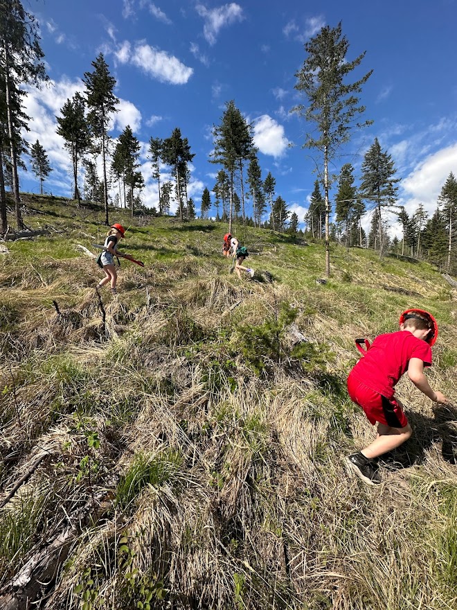 Image of students spread out and planting their seedlings.