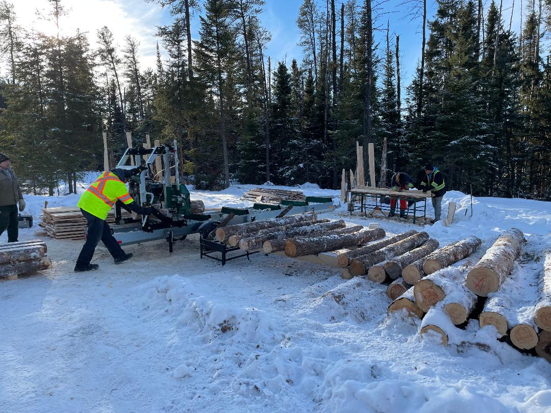 Image of logs staged for cutting at the portable sawmill.