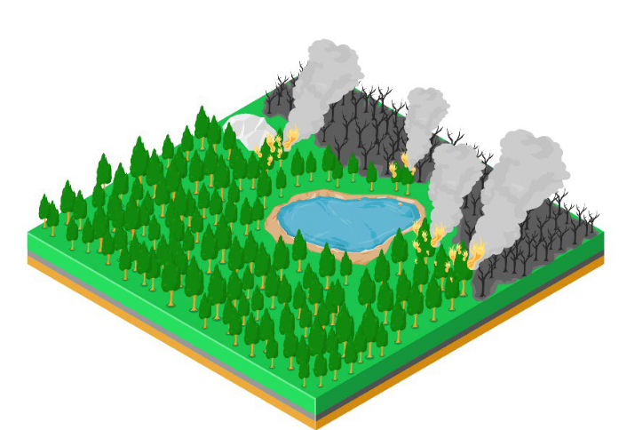HowWeDoIt_ManagingForestFires.png