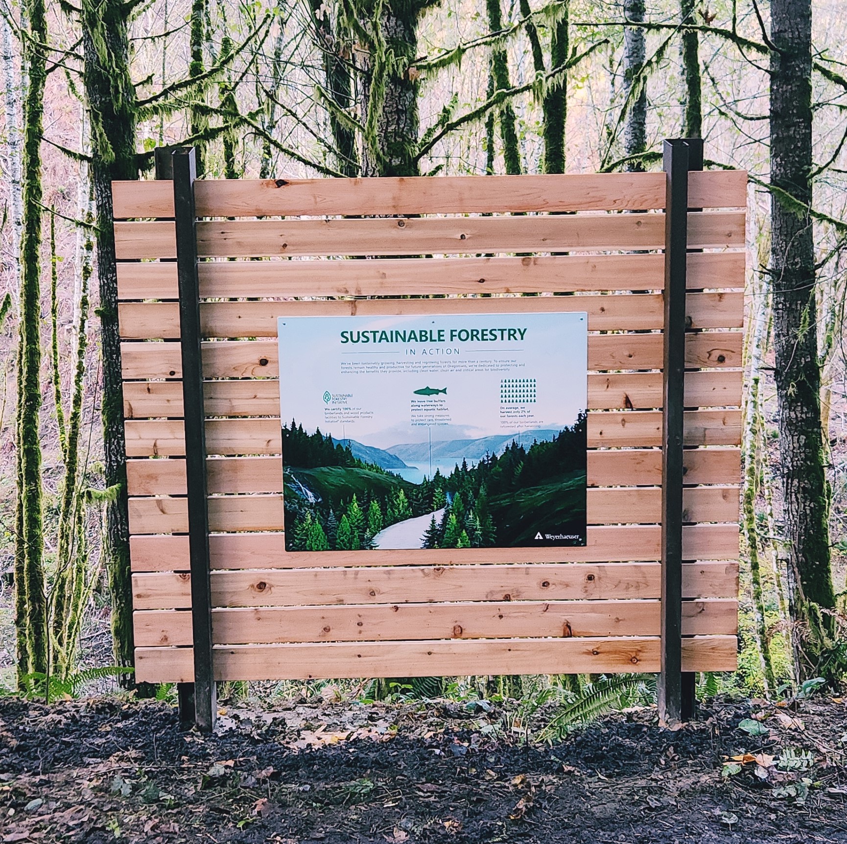 Image of a forestry sign set near a stream so visitors can learn about and see stream buffers at the same time.