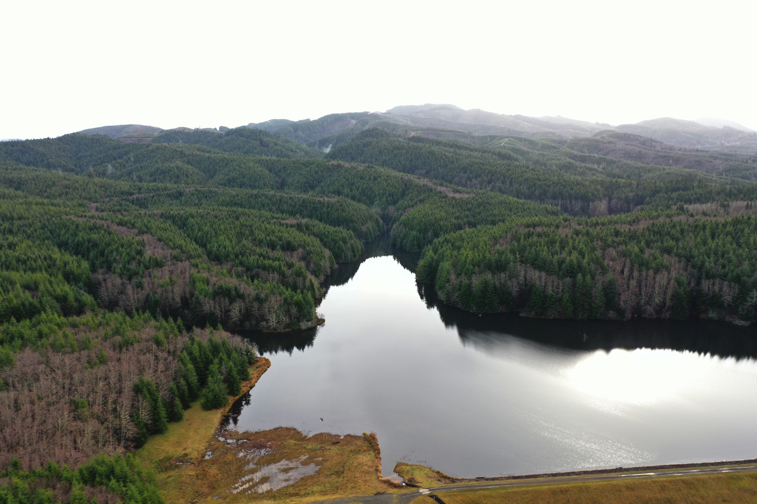 Looking out over Indian Creek Reservoir and hte land that will become Ilwaco's new Bear River Community Forest.