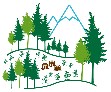 HowWeDoIt_Clearcutting.png