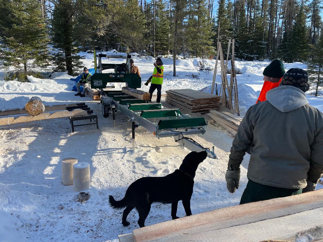 Image of a partially hewn log making its way through the sawmill in early December.