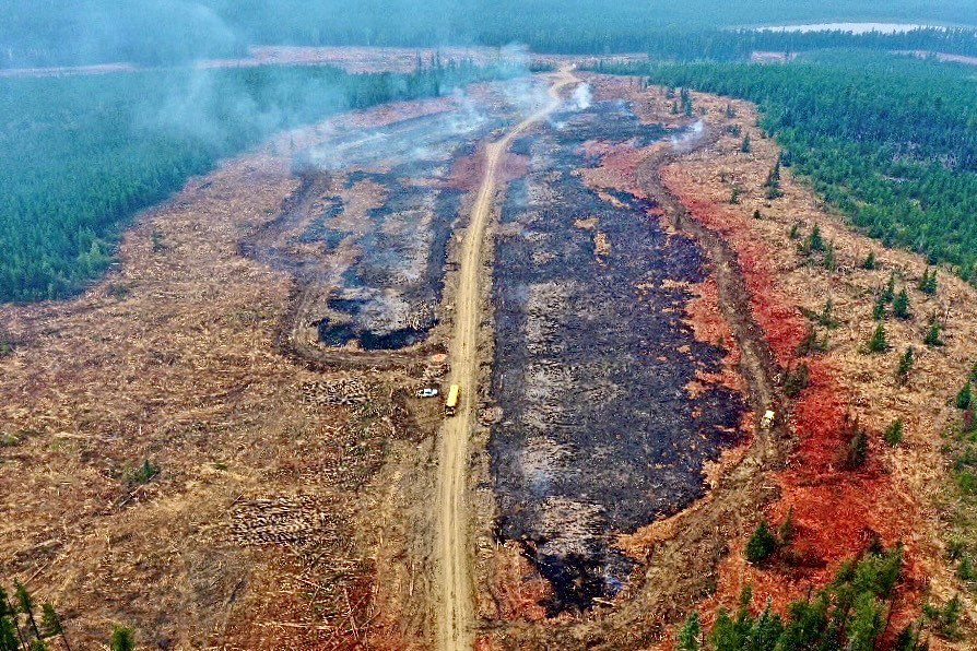 Aerial image showing the aftermath of a fire on the ground. A huge section of trees is burned with badly burned ground in the center of the image. It's surrounded by a brown section of burned trees, and then green trees that haven't yet been touched by the fire.