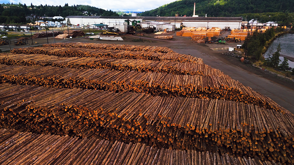 A huge number of logs are seen at the Weyerhaeuser timberyard in Raymond, Washington.