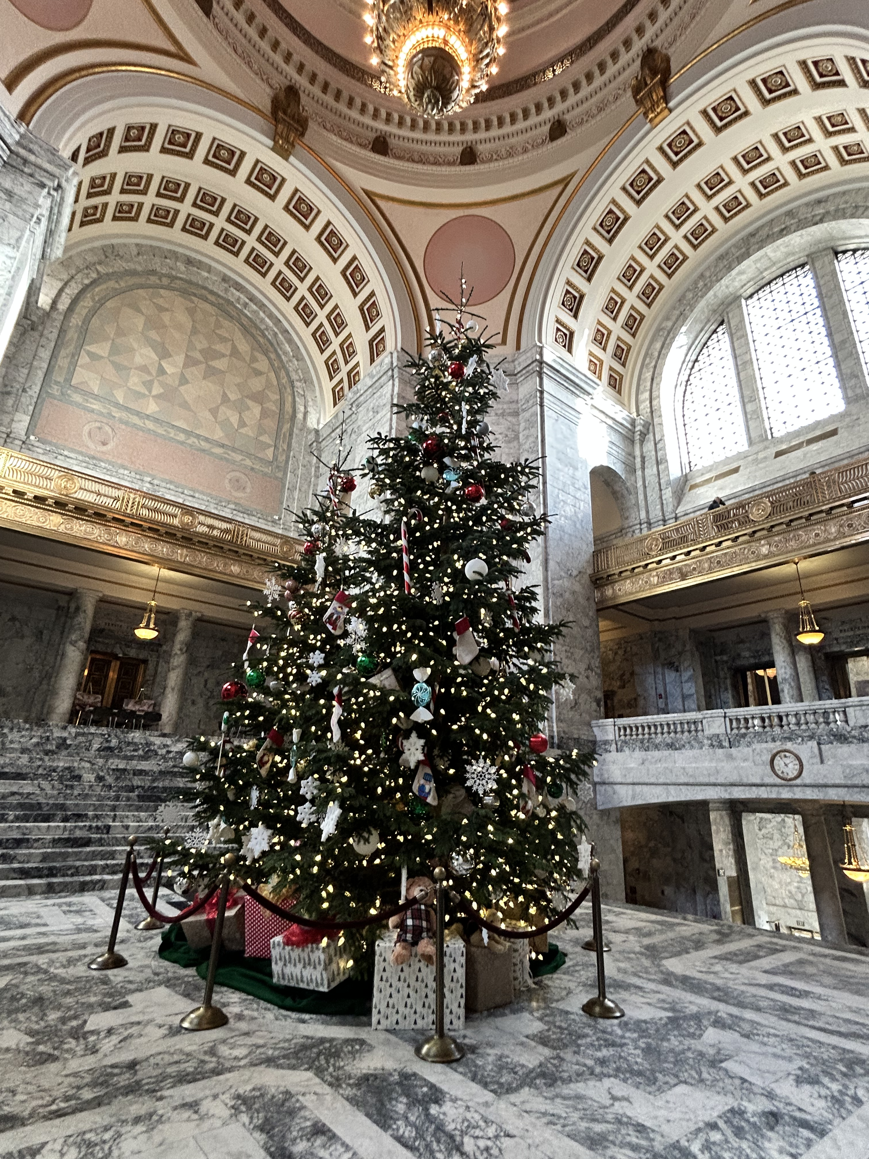 Image of the tree donated to the Washington State Capitol in Olympia.