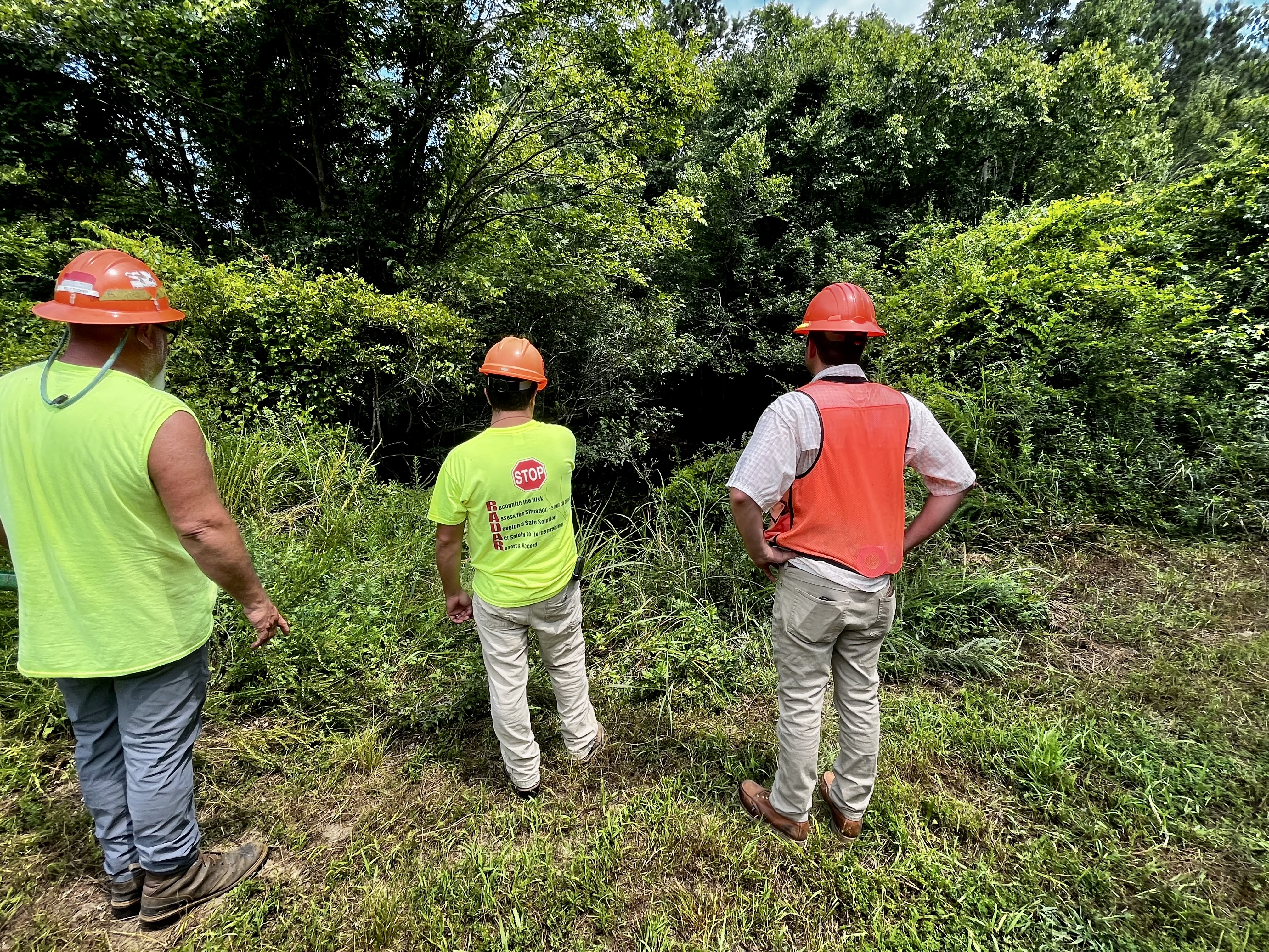 Image of North Carlina Timberlands team members assessing a conservation site.