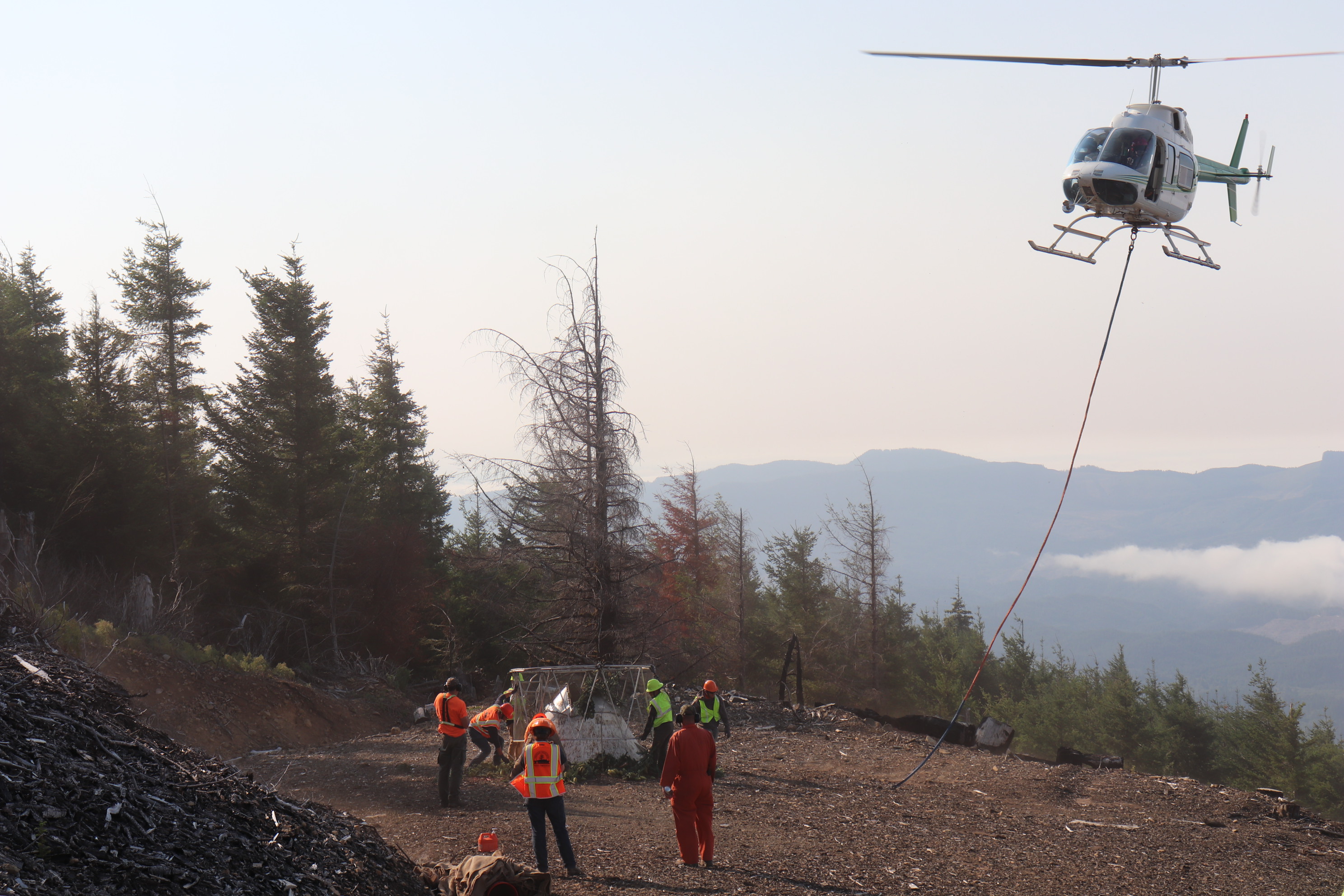 Image of Weyerhaeuser aviation dropping collected noble fir cones in a designated landing spot.