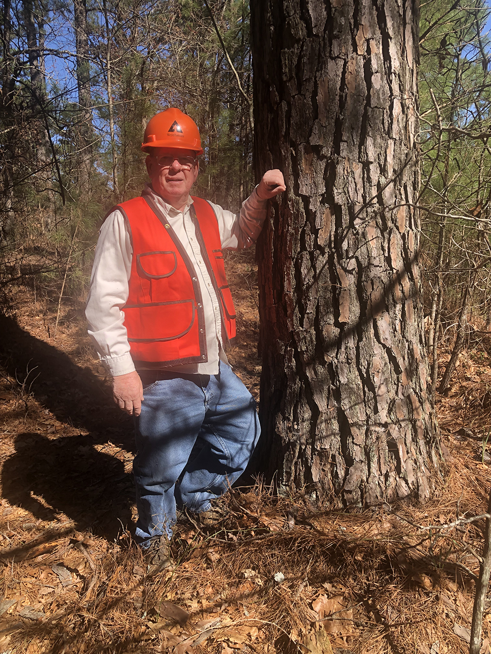 Image of Don standing by a mature tree that is on a plot of land he and his brother worked on many years ago. Don is wearing an orange hardhat and safety vest and is leaning with his left arm against the tree.