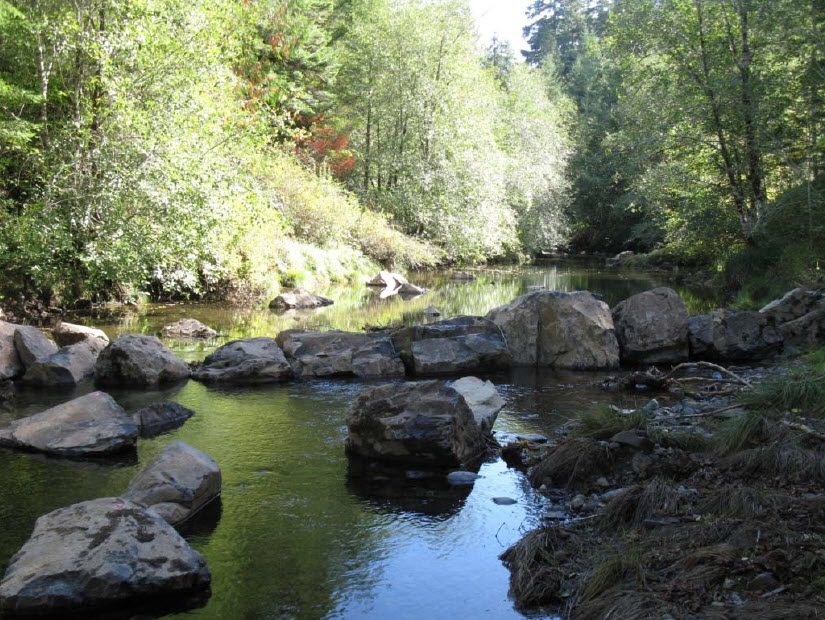 Image of a rock weir that will give spawning salmon a chance to rest and shade as they make their way upstream in Mosby Creek.