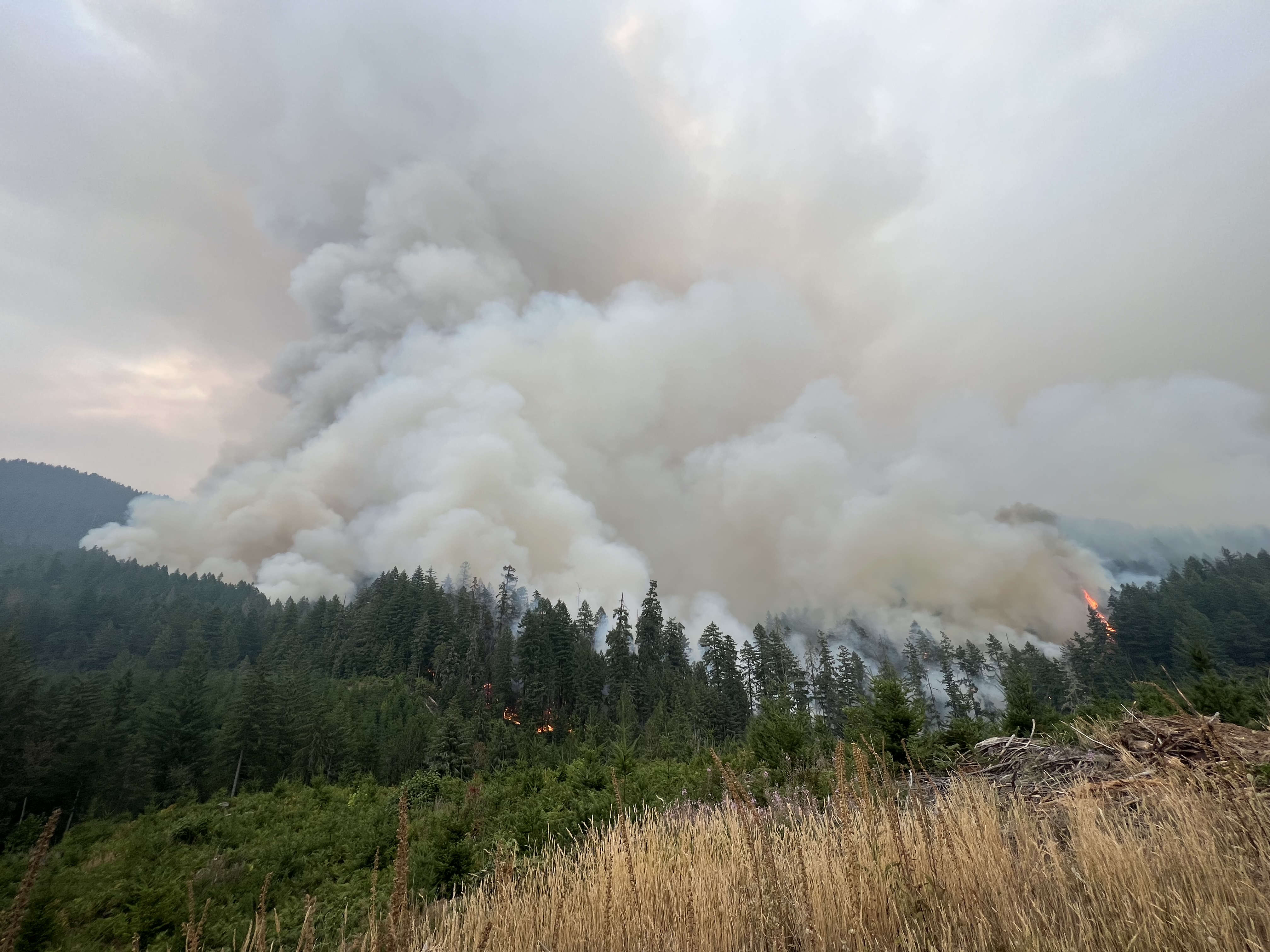 Image of the Bedrock Fire.