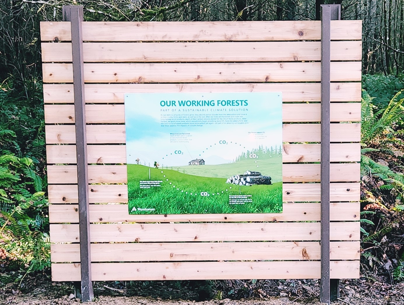 Image of the working forests sign set in the thick of the woods.